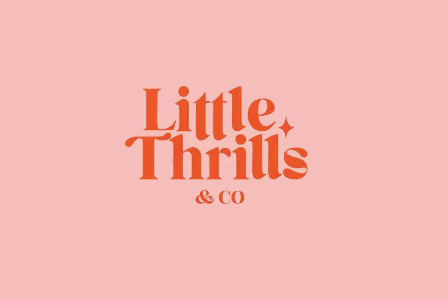 Why Little Thrills Is Redefining the Austin Hair Salons Experience 1 little thrills salon | Hair salon in austin texas | hairstylist in austin texasb | gray blending in austin | austin hair salons